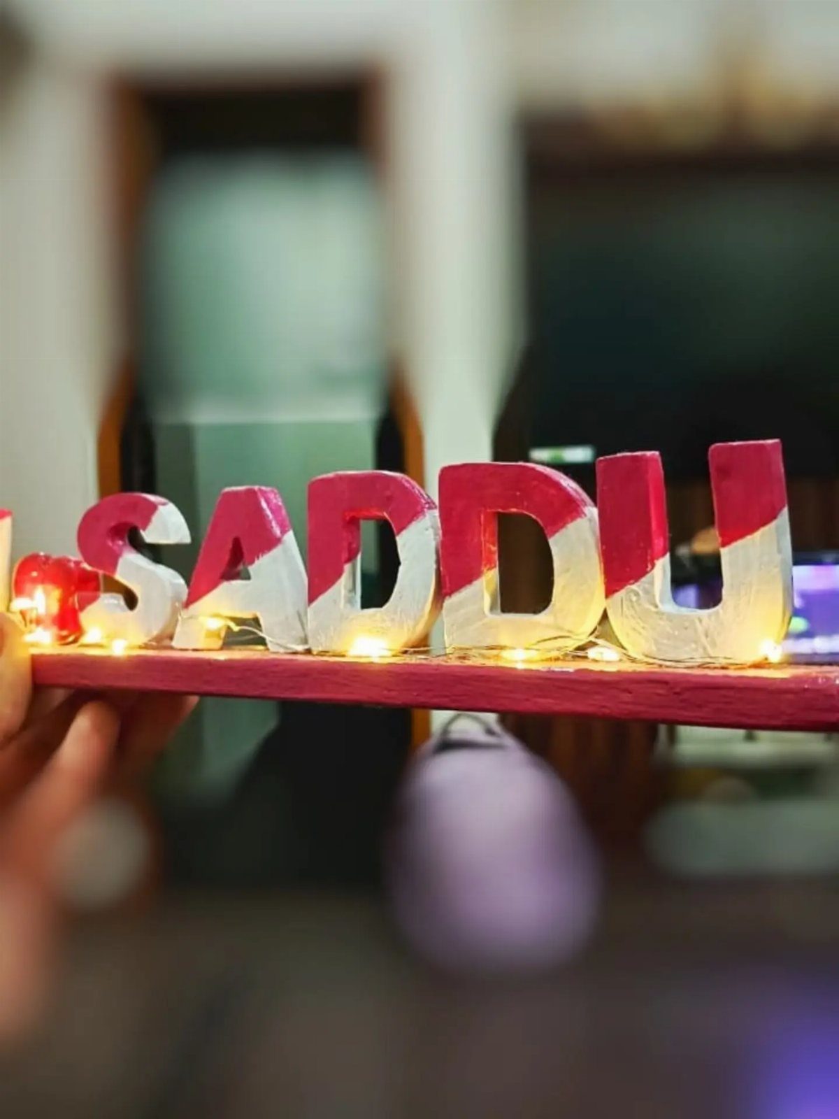 Wooden 3D letters spelling SADDU on a red base with fairy lights.