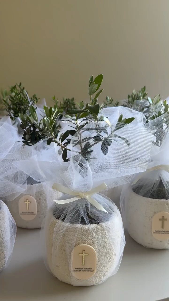 Small olive trees in white pots with tulle wraps and gold cross tags.