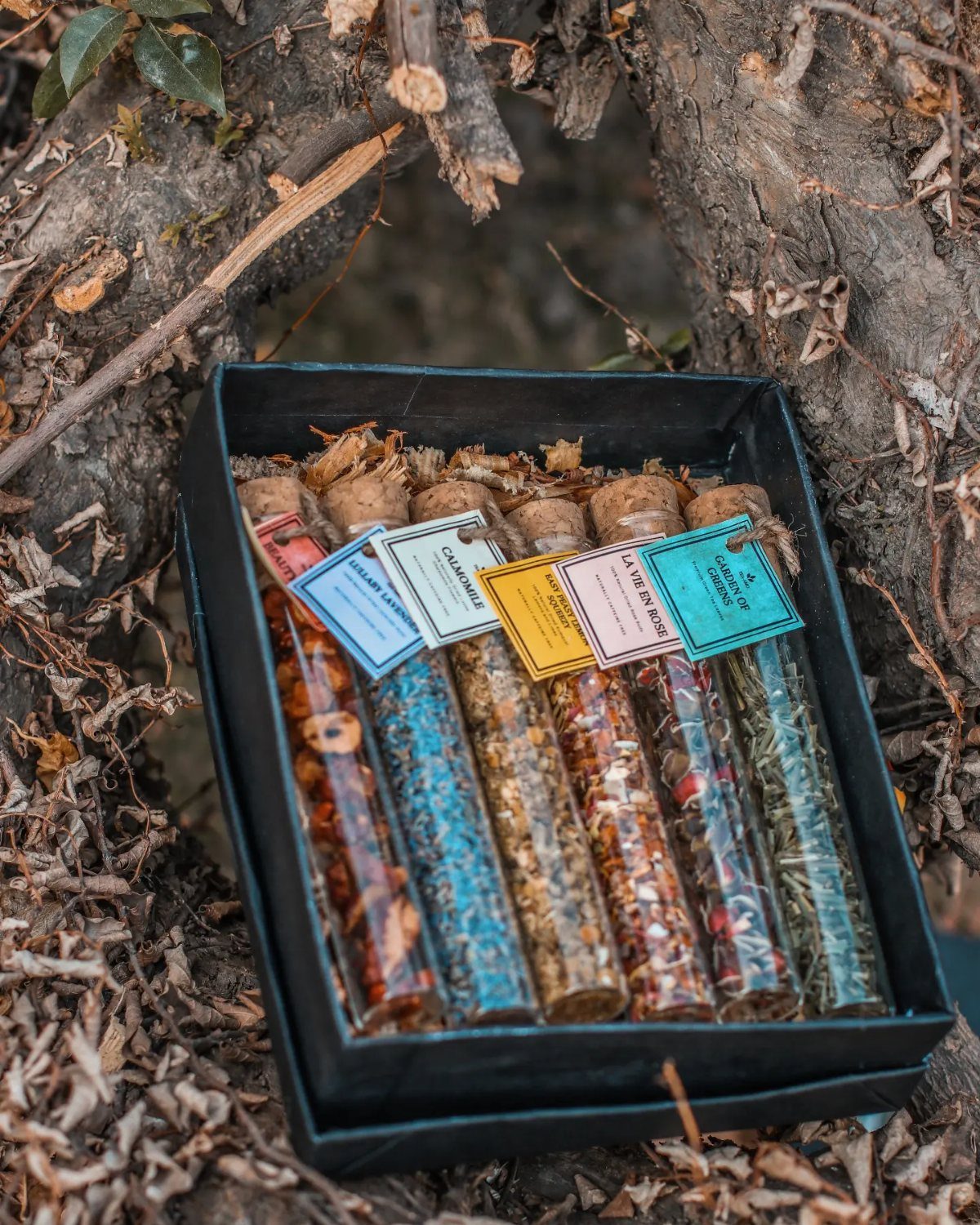 Tea sampler set with five labeled glass tubes in a black gift box.