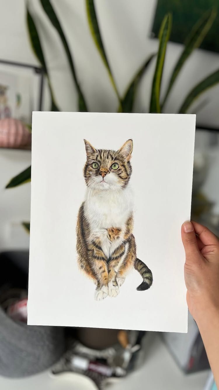 Detailed colored pencil drawing of a tabby cat held by a hand.