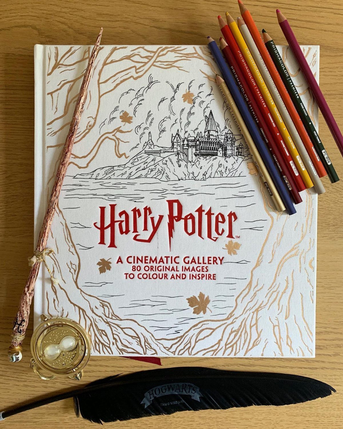 25 Best Harry Potter Gifts for Every Wizarding Fan in 2026 20 Harry Potter coloring book with colored pencils, a wand, and a black quill.