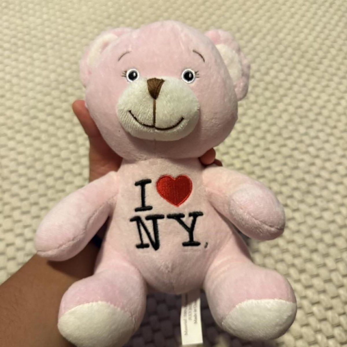 Pink plush teddy bear with I Love NY embroidered on its chest.