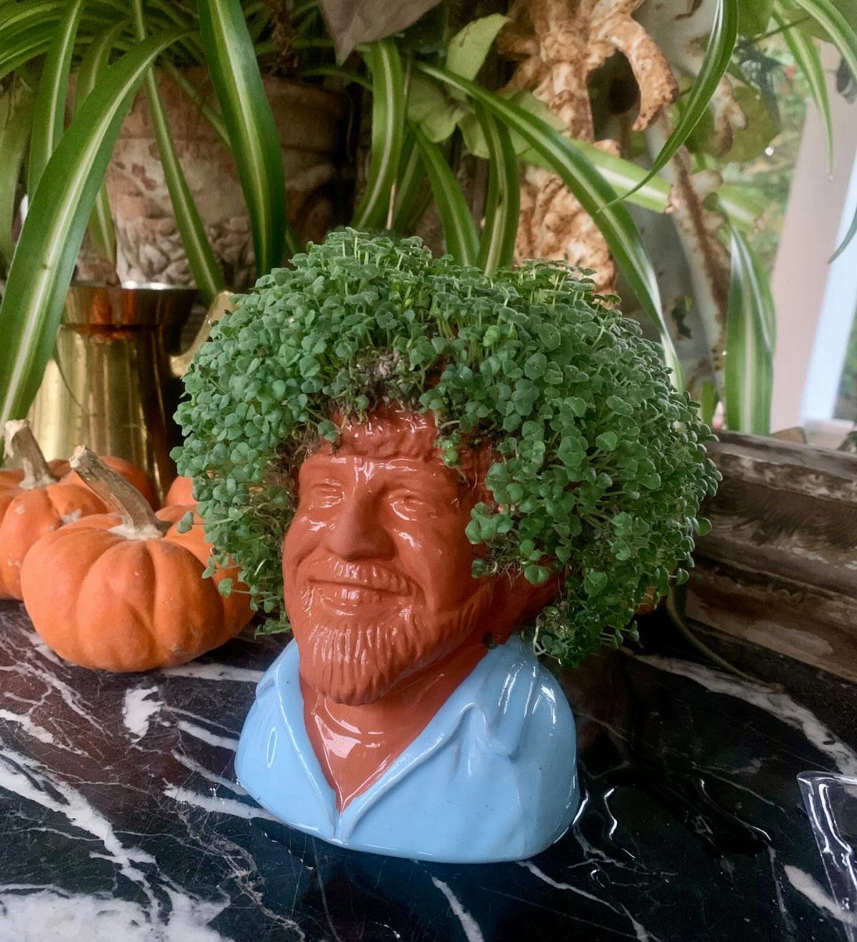 Bob Ross chia pet with green sprouts on a marble surface with pumpkins.