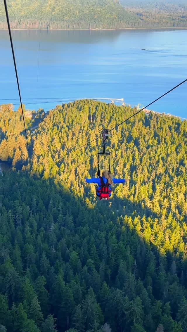 Person ziplining over a lush green forest with a blue lake in background