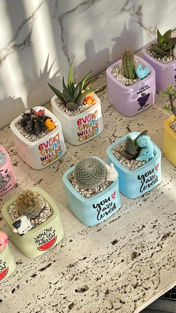 Small succulents and cacti in colorful pastel pots with motivational text on marble.