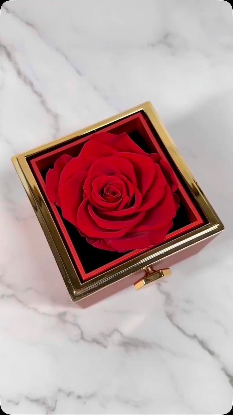 Red rose in a square gold-framed glass box on white marble surface
