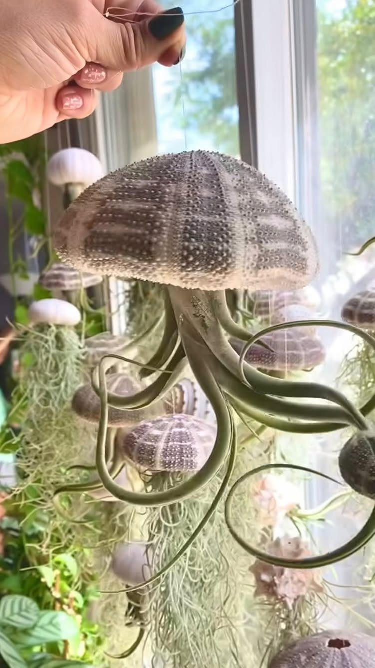 Jellyfish-shaped air planter with trailing green plants hanging by a string near a window.